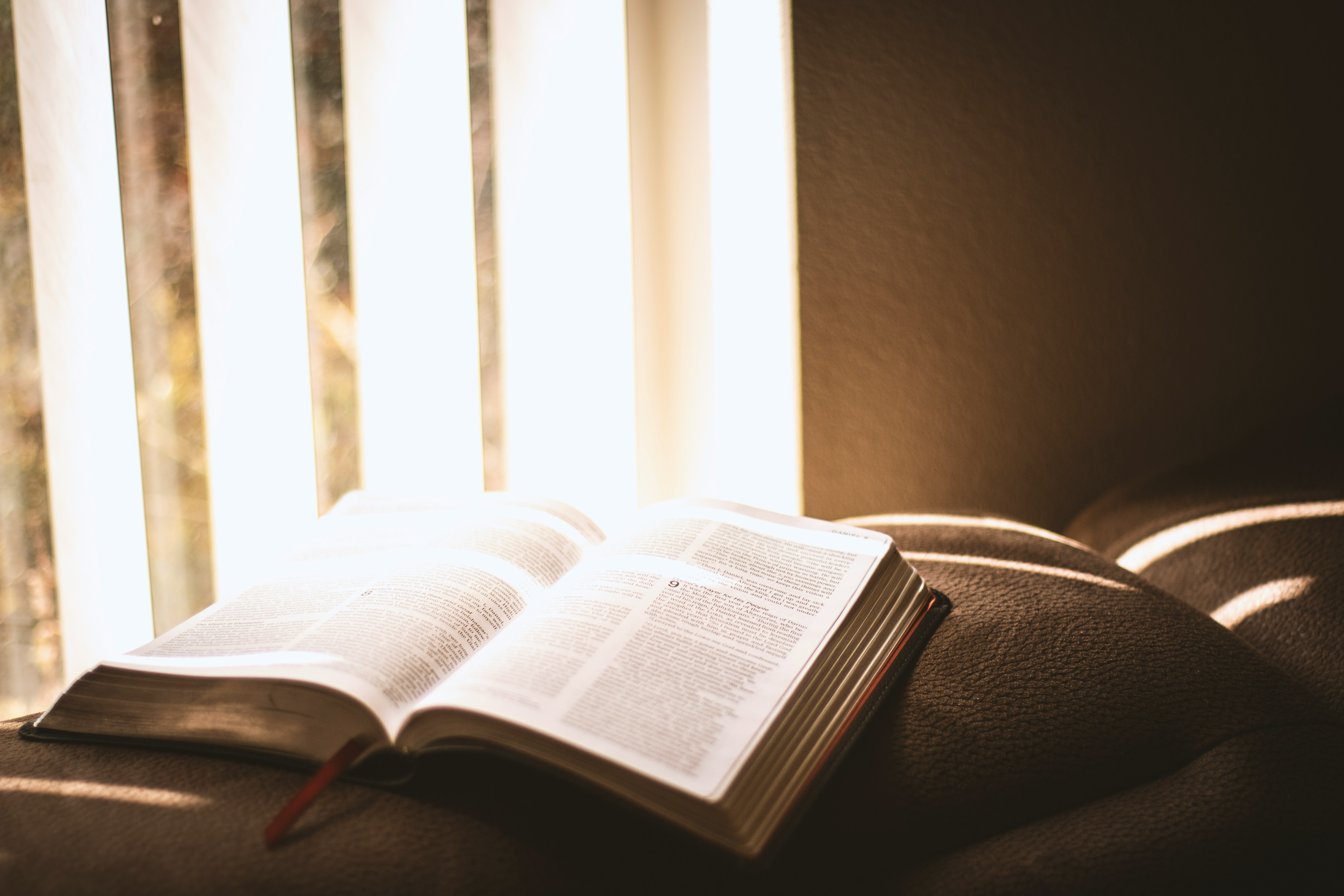 opened book on brown sofa